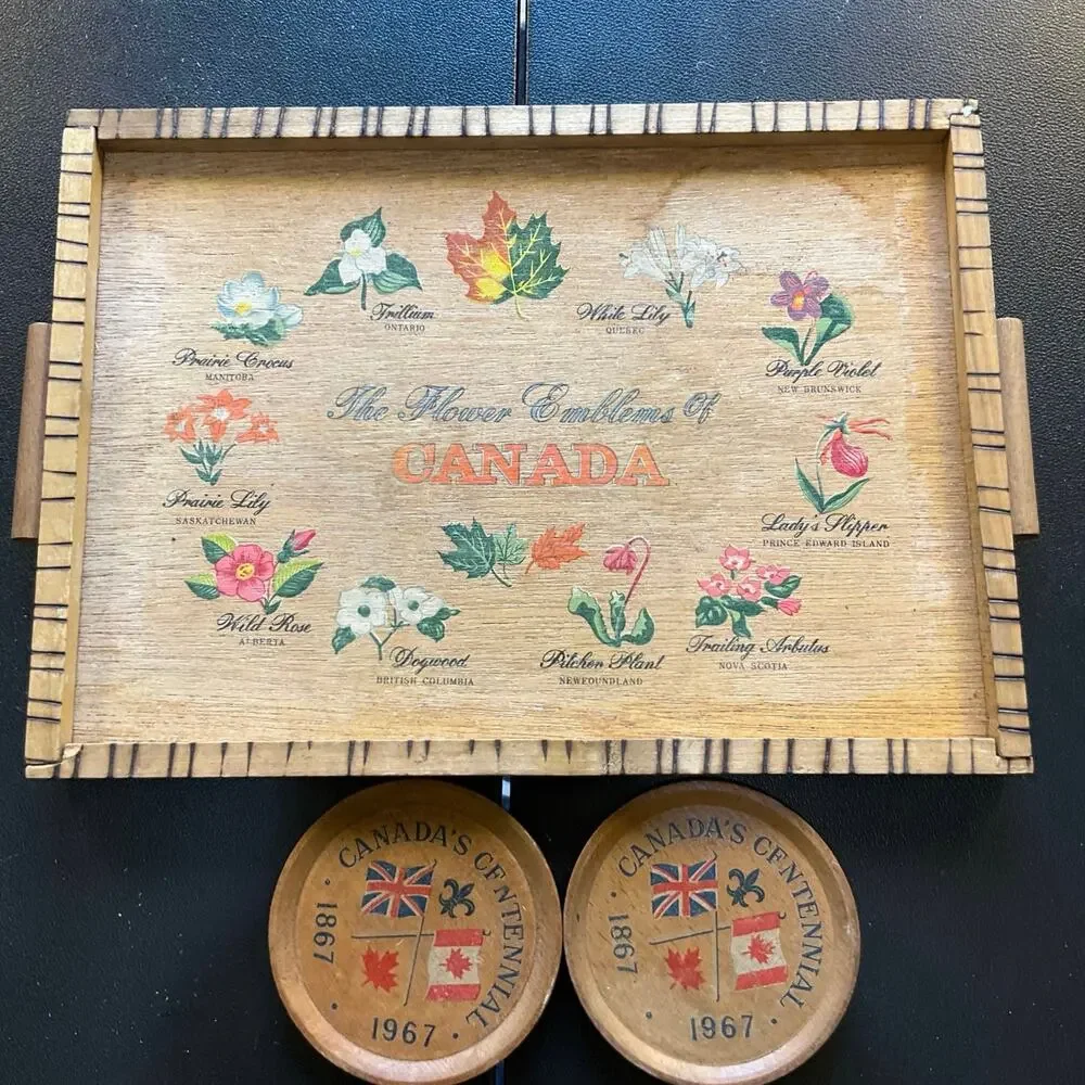 Vintage 1967 Canada Centennial Wooden Coasters Set of 8 Floral Souvenir Tray